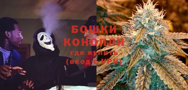 прущий лед Дмитриев
