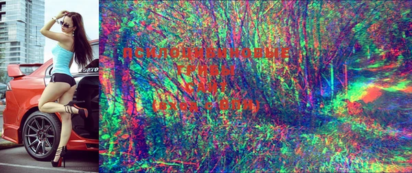 mdpv Ельня