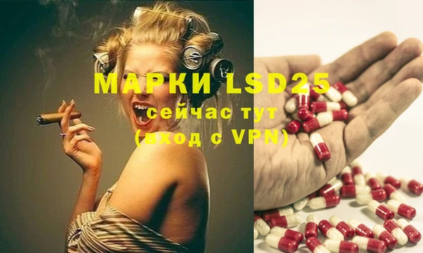 mdpv Ельня