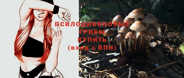 mdma Елабуга