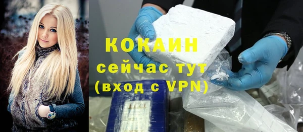 mdpv Ельня