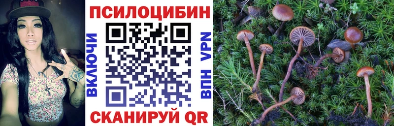 Галлюциногенные грибы Psilocybine cubensis  мега   Приволжский 